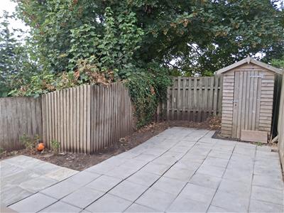 Picture 16